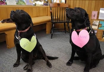 Swarthmore College & Community Store's Molly and George